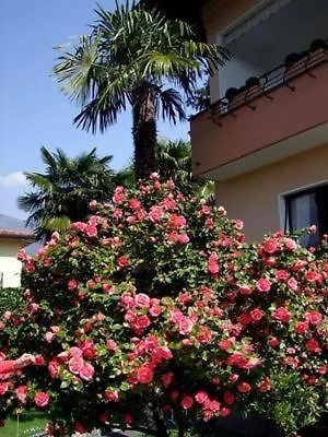 Casa Thuja *