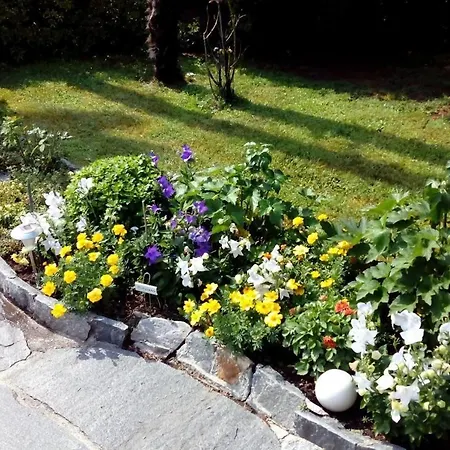 Apartment Casa Thuja Ascona